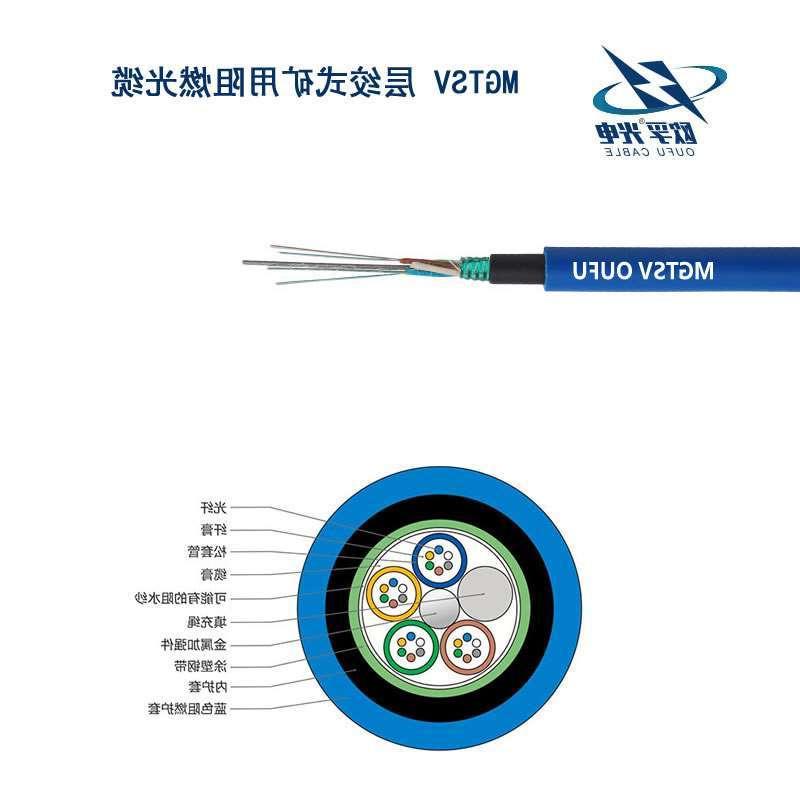 普陀区MGTSV光缆